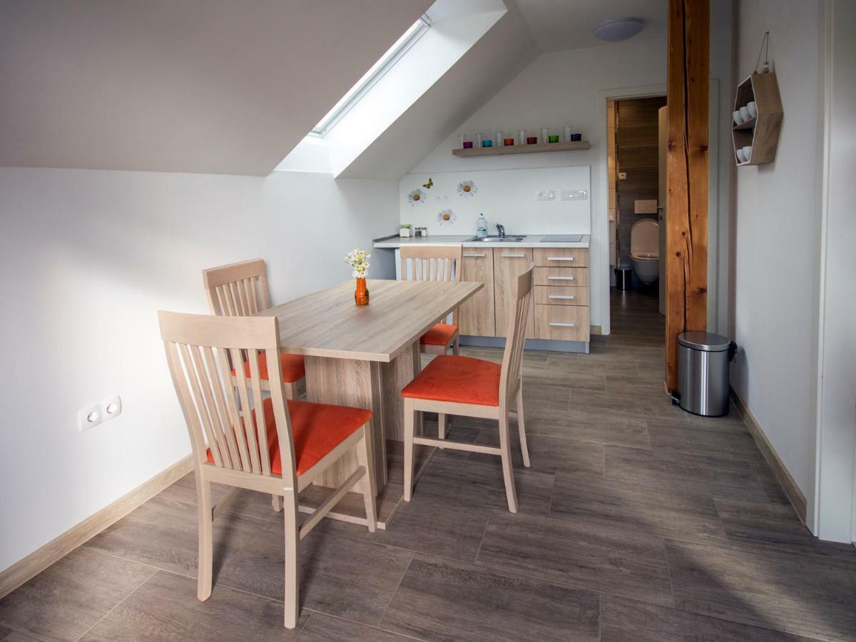 Apartment Marjetka Zirovnica