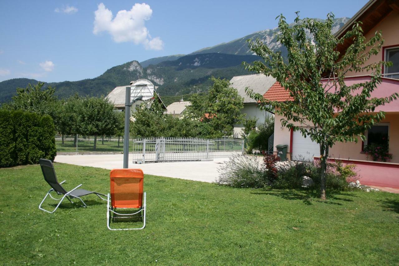 Marjetka Zirovnica